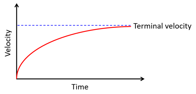 Velocity vs time for object reaching terminal velocity